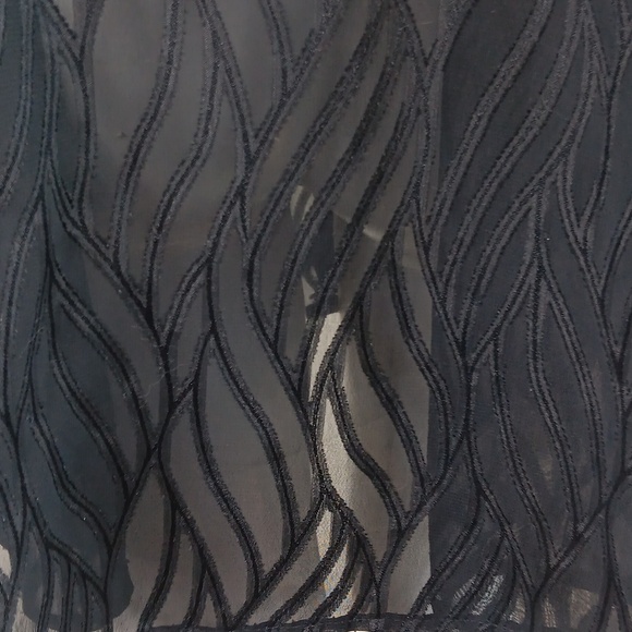 Vintage Sheer Blouse - Picture 4 of 5